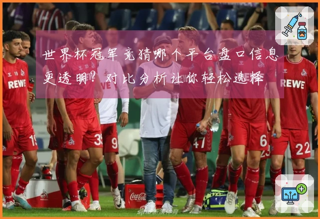 世界杯冠军竞猜哪个平台盘口信息更透明？对比分析让你轻松选择