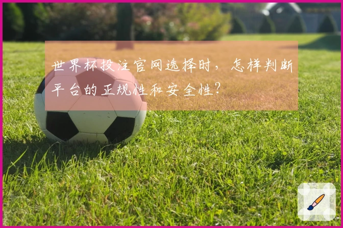 世界杯投注官网选择时，怎样判断平台的正规性和安全性？