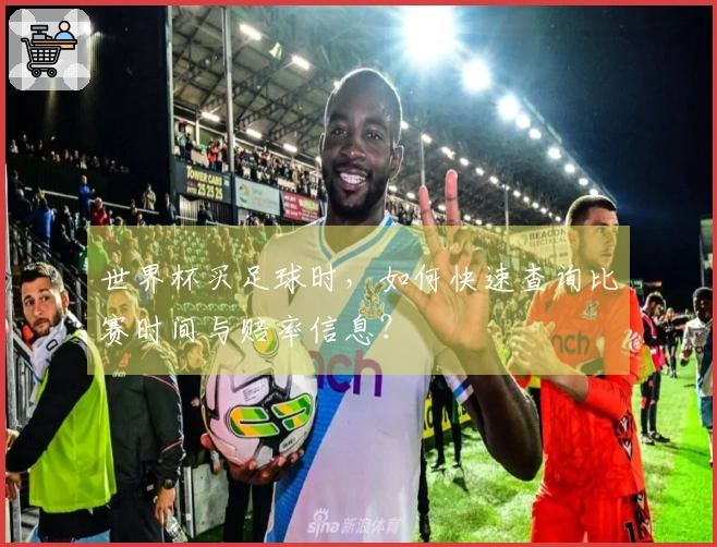 世界杯买足球时,如何快速查询比赛时间与赔率信息?