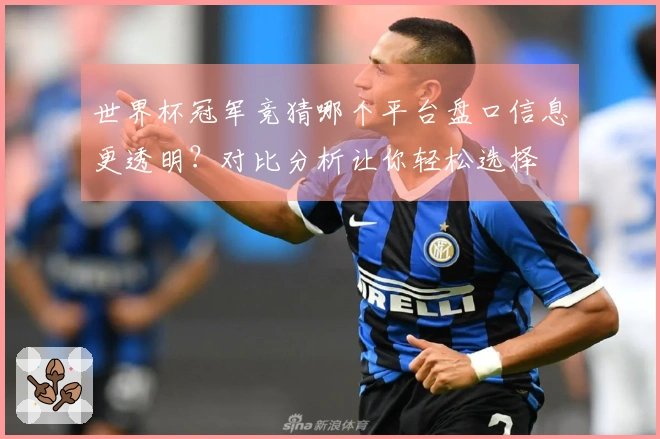 世界杯冠军竞猜哪个平台盘口信息更透明？对比分析让你轻松选择